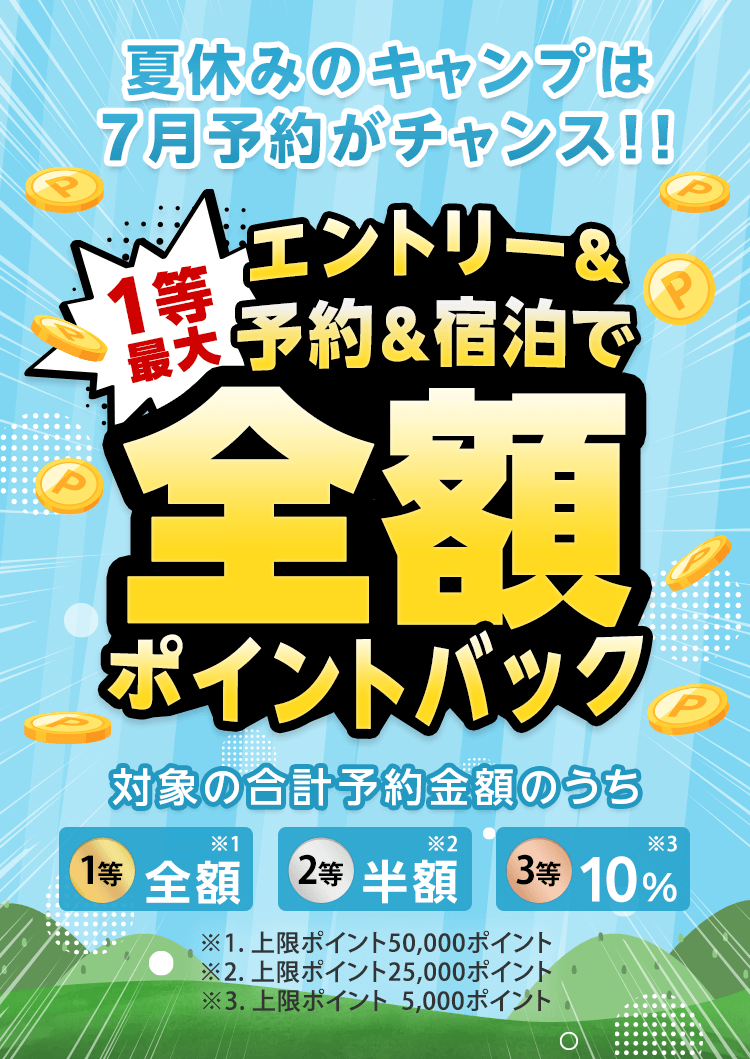 抽選で最大全額ポイントバックキャンペーン